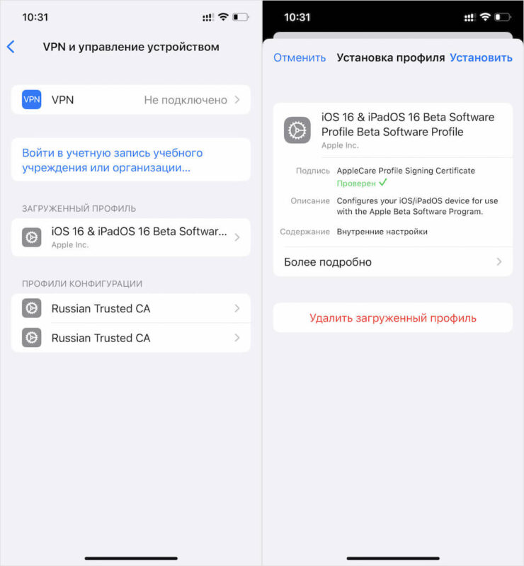 Как выйти из бета-тестирования iOS. При желании вы можете просто удалить профиль, и поток бета-версий прекратится. Фото.