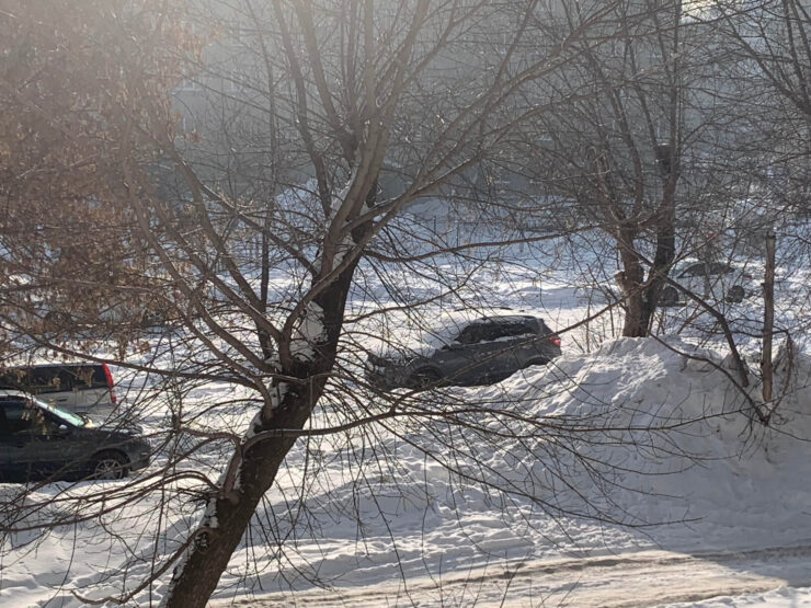 Встроенная камера сфокусировалась автоматически на ветках. Фото.