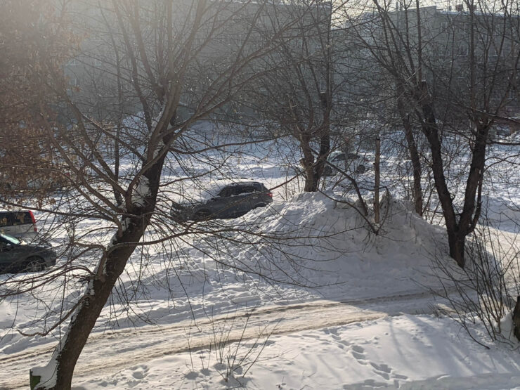 Halide понял, что акцентировать внимание на ветках не стоит. Фото.