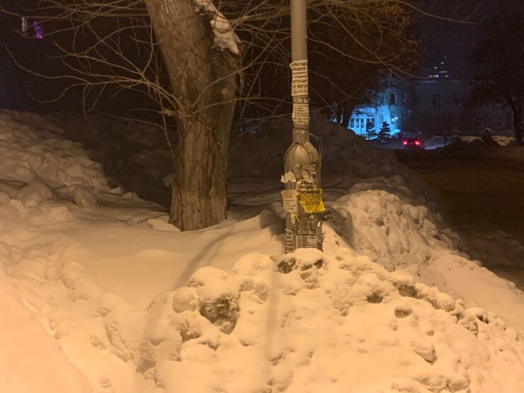 Это фотография сделана через родное приложение “Камера”. Фото.