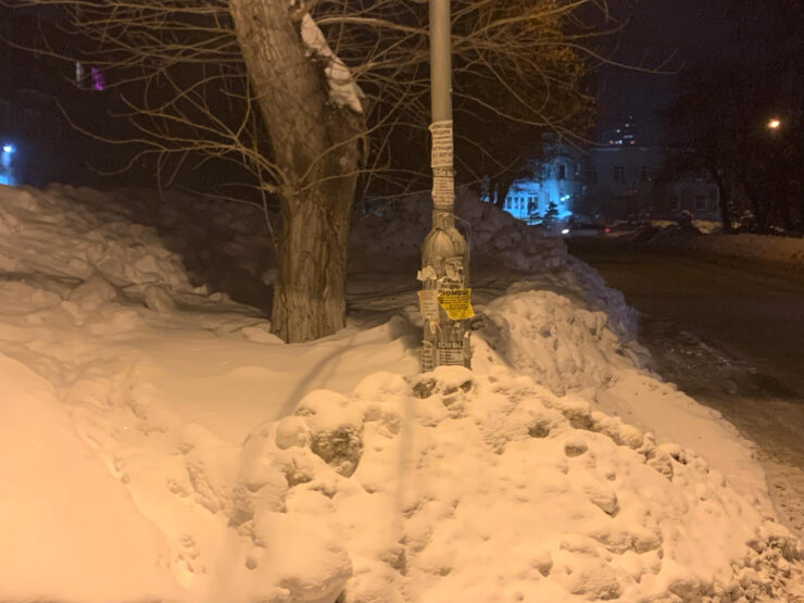 Halide на темных участках допустил значительно меньше шумов. Фото.