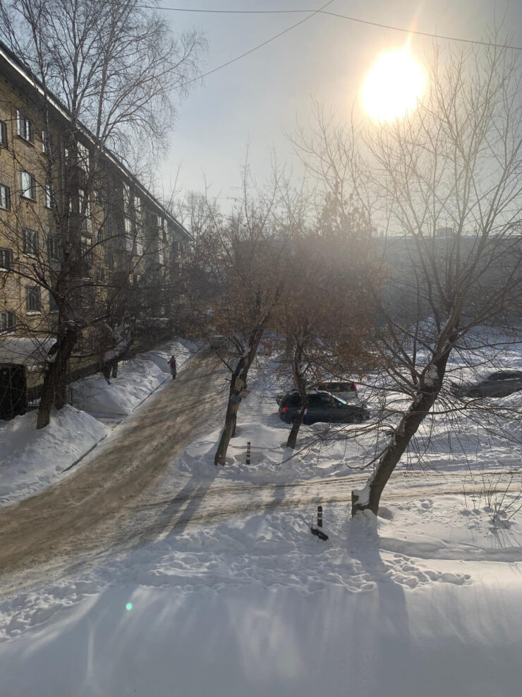 Условия непростые. Солнце напротив камеры. Фото.