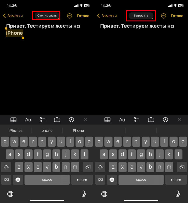 Как скопировать текст на Айфоне. Этим жестам придется немного поучиться. Как скопировать текст на Айфоне. Этим жестам придется немного поучиться. Фото.