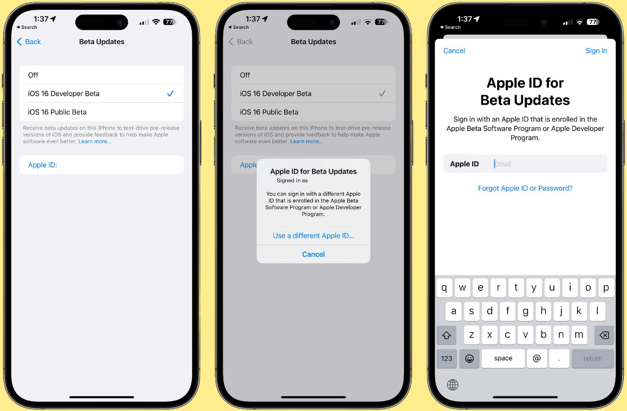 Для установки Developer Beta можно ввести отдельный Apple ID. Фото.