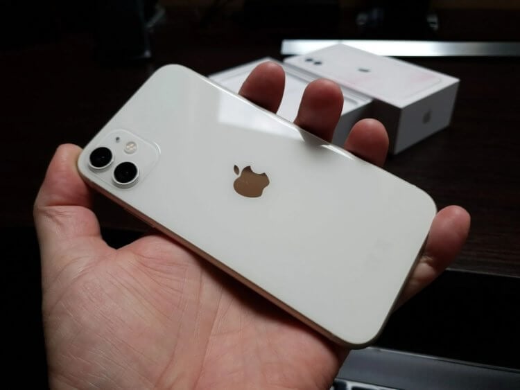 Стоит ли покупать iPhone 11 в 2023 году. Фото.