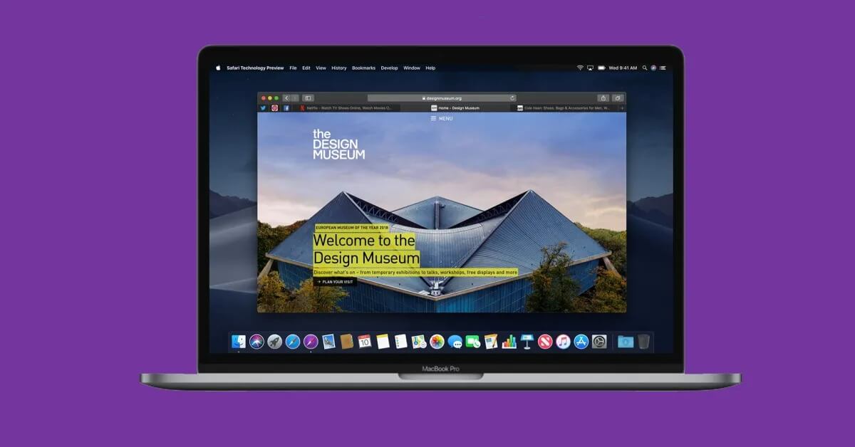 Safari Technology Preview отличается от обычной версии только сиреневым логотипом. Фото.