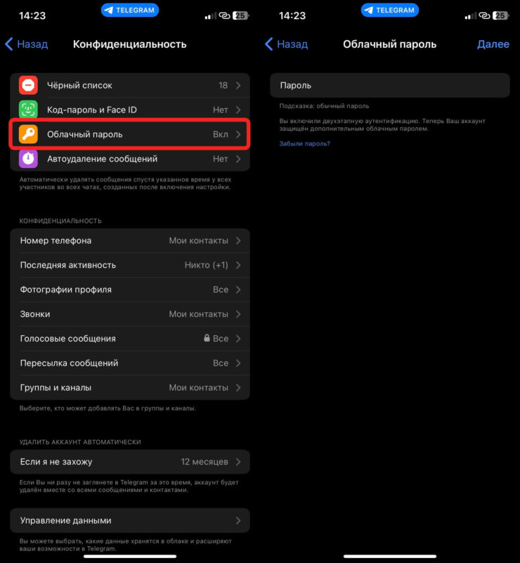 Как убрать облачный пароль. Для входа в настройки облачного пароля потребуется его ввести. Фото.
