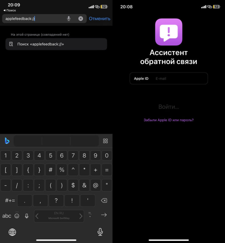 Для отправки отзыва необходимо войти под своим Apple ID. Фото.