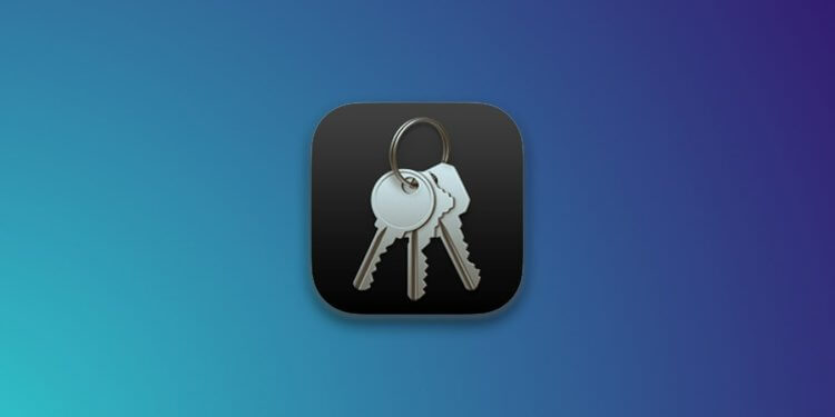 Как быстро посмотреть сохраненные пароли на Айфоне. О таком способе вы точно не знали. Фото.