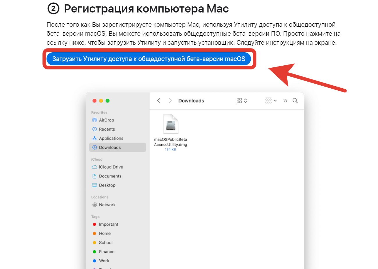Здесь вам предстоит скачать утилиту доступа к бета-версии. Фото.