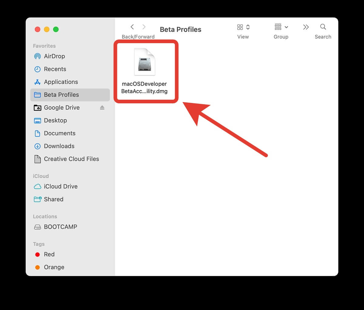 Установите ее, и бета-версия сразу станет доступна для скачивания. Фото.