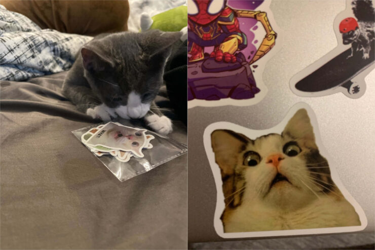 Стикеры с котиками. Наклейки можно клеить на что угодно, и даже на портфель. Стикеры с котиками. Наклейки можно клеить на что угодно, и даже на портфель. Фото.