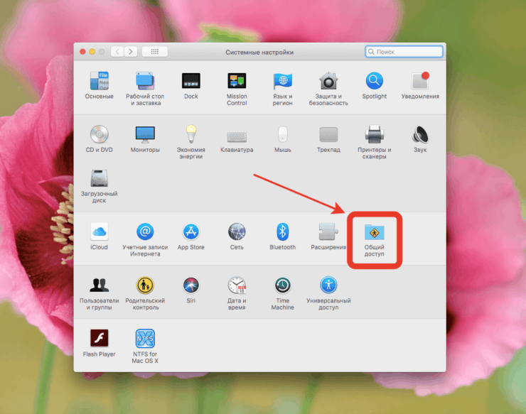 Как посмотреть файлы на Маке. Я даже не подозревал сколько полезного включает этот раздел в настройках. Фото.