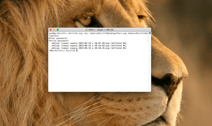 Как поставить пароль на архив. Команда только выглядит страшно. На самом деле ничего сложного в ней нет. Фото.