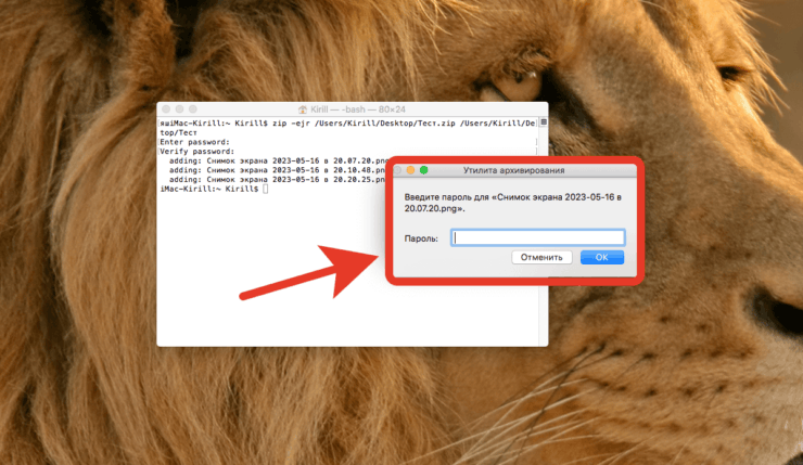 Как поставить пароль на архив. Такой архив просто так не распаковать. Фото.