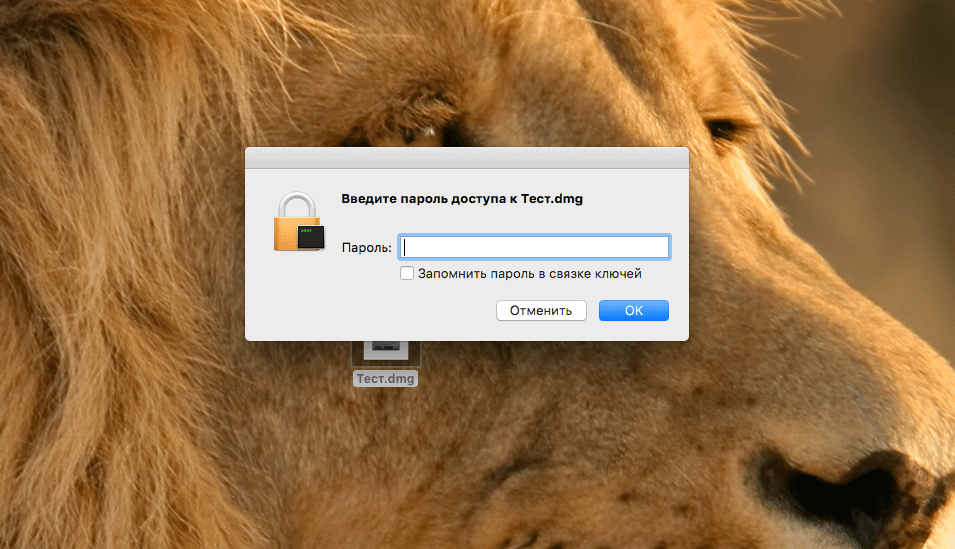 Как защитить любой файл или папку на Mac. Здесь лучшие бесплатные способы. Фото.