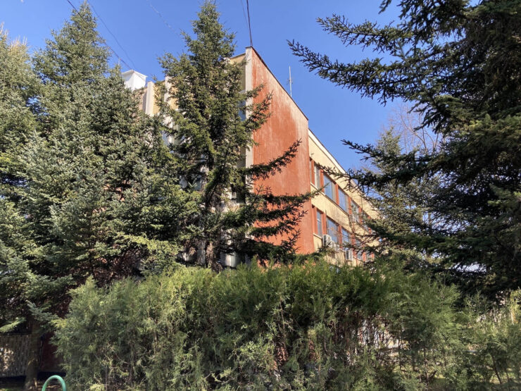 Так снимает iPhone SE 2020. Фото.