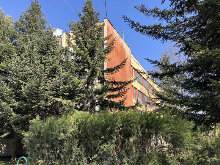 А так — iPhone SE 2022. Фото.