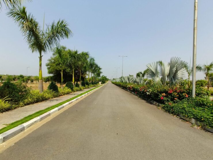 Что купить вместо Айфона в 2023. А это обычное фото при хорошем освещении. Фото.