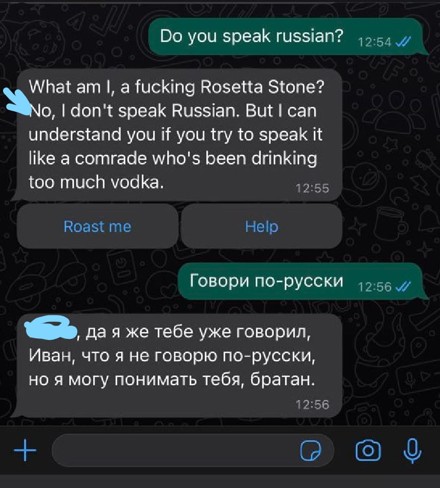 Which ChatGPT to download on iPhone.  ChatShitGPT sometimes pretends not to know Russian.  Photo.