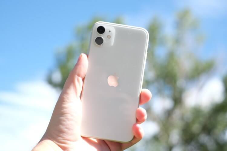 5 функций iOS 17, которые не работают на старых Айфонах. iPhone 11 для всех функций в этой статье безнадежно устарел. 5 функций iOS 17, которые не работают на старых Айфонах. iPhone 11 для всех функций в этой статье безнадежно устарел. Фото.