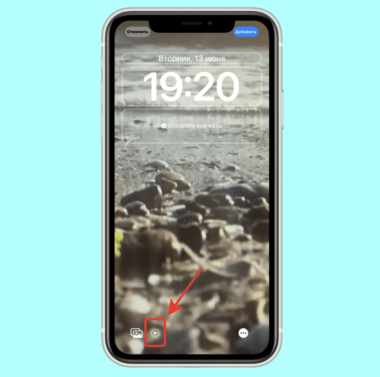 Для Live Photo при установке их на обои появляется дополнительный переключатель. Фото.