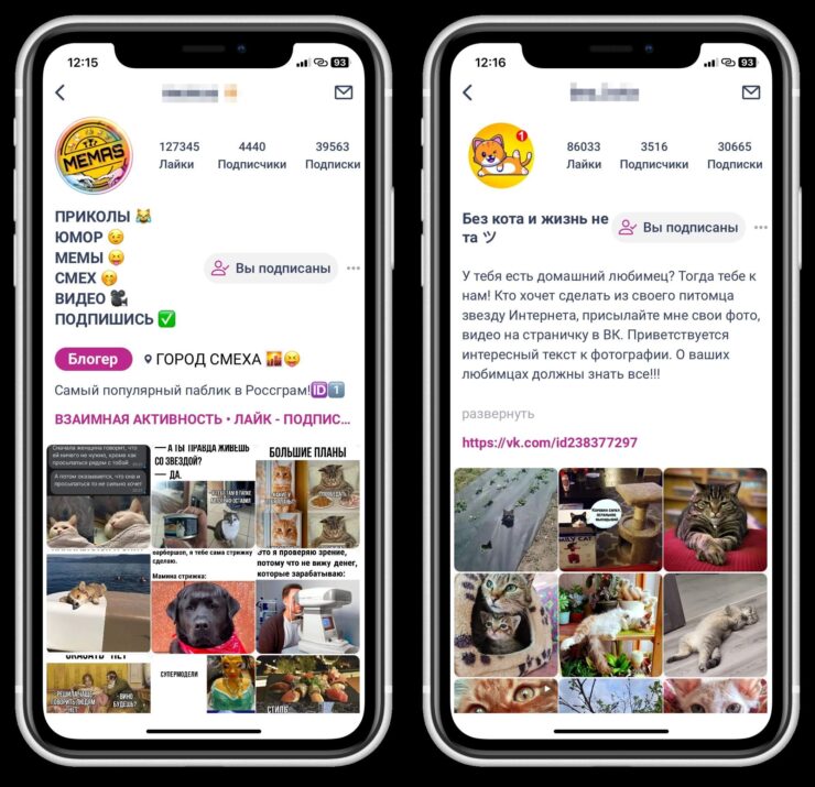 Что можно делать в Россграм. Разные размера шрифта во всех частях учетной записи сбивают с толку. Что можно делать в Россграм. Разные размера шрифта во всех частях учетной записи сбивают с толку. Фото.
