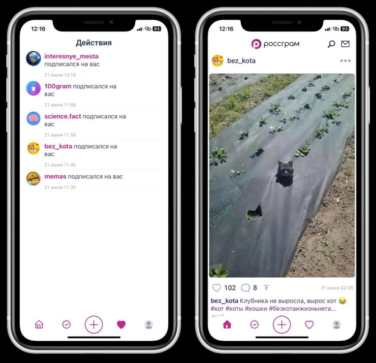 Что можно делать в Россграм. В разделе с лайками можно найти всех пользователей, которые на вас подписались, и сразу перейти к ним на страницу. Что можно делать в Россграм. В разделе с лайками можно найти всех пользователей, которые на вас подписались, и сразу перейти к ним на страницу. Фото.