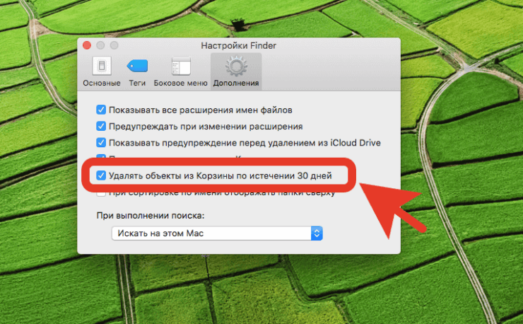 Очистить корзину на Маке. Автоочистка корзины — одна из самых удобных функций macOS. Фото.