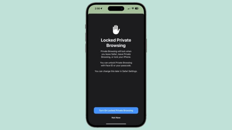 Что нового в iOS 17 Public Beta 3. Первый запуск Частного доступа в Сафари теперь будет встречать вас вот такой заставкой. Что нового в iOS 17 Public Beta 3. Первый запуск Частного доступа в Сафари теперь будет встречать вас вот такой заставкой. Фото.