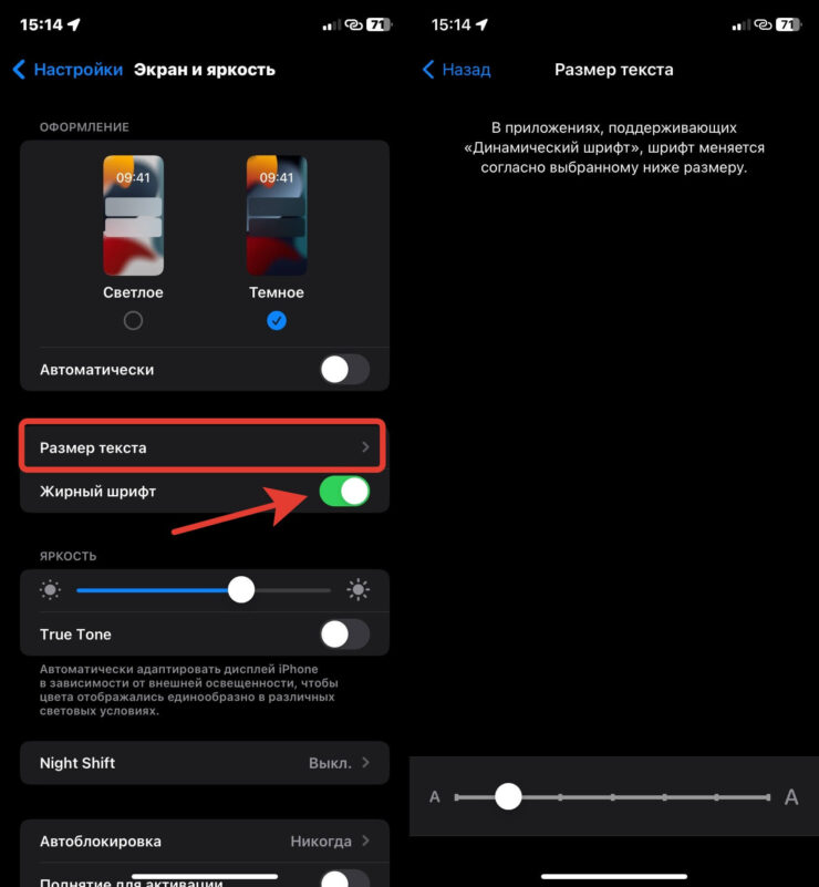 Размер шрифта на Айфоне. Размер шрифта очень гибко настраивается. Фото.