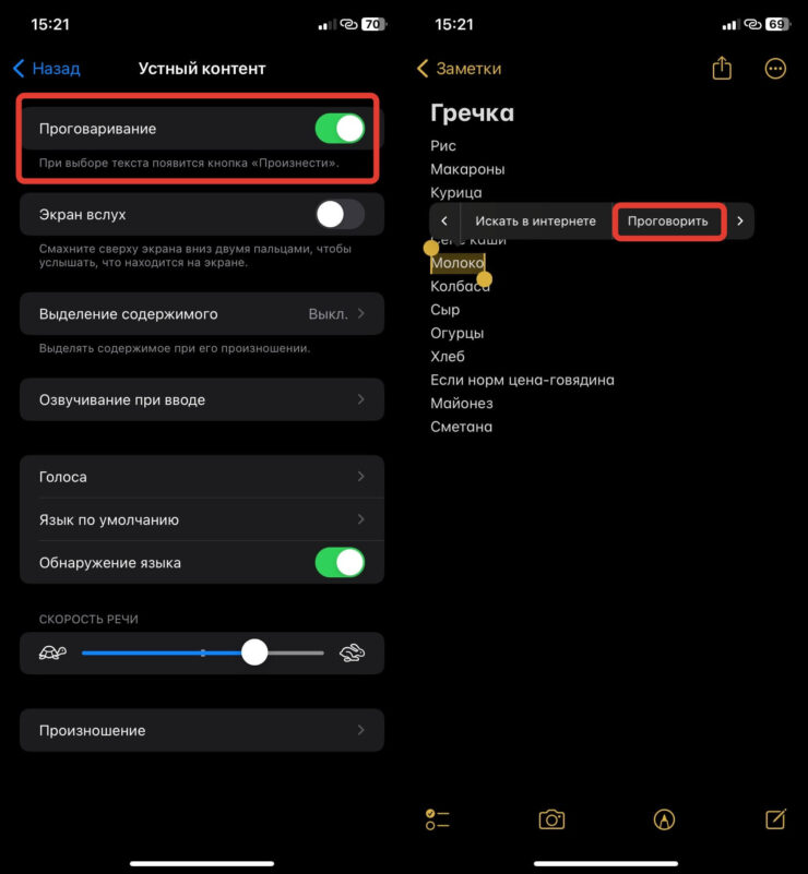 Озвучка текста голосом. Любой напечатанный текст можно озвучить. Фото.