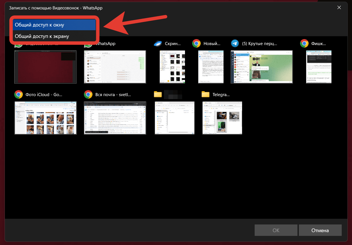 Как включить демонстрацию экрана в Ватсапе. На компьютере можно выбрать, что конкретно вы будете показывать собеседнику. Фото.