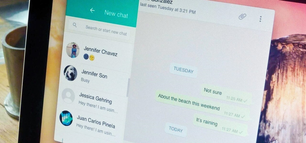 Ватсап Веб — как открыть на компьютере и iPad. Фото.