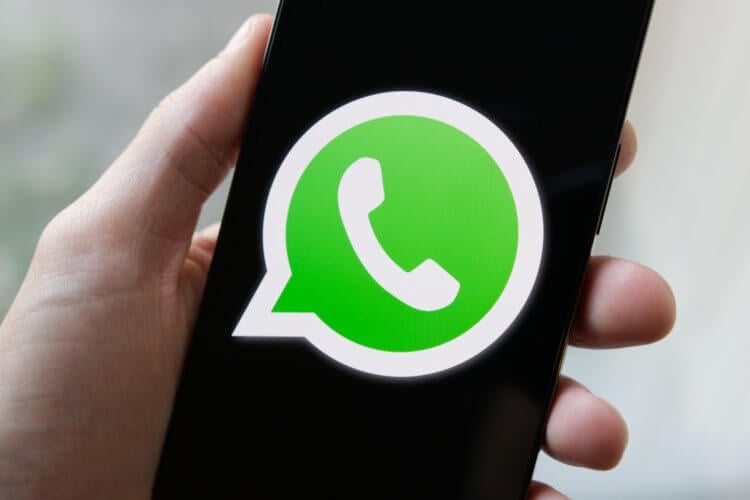 В WhatsApp на iPhone появится возможность отправлять сообщения в Телеграм и не только. Фото.