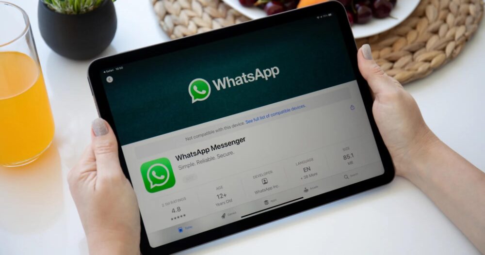 WhatsApp сделал нативное приложение для iPad. Правда, пока только в ...