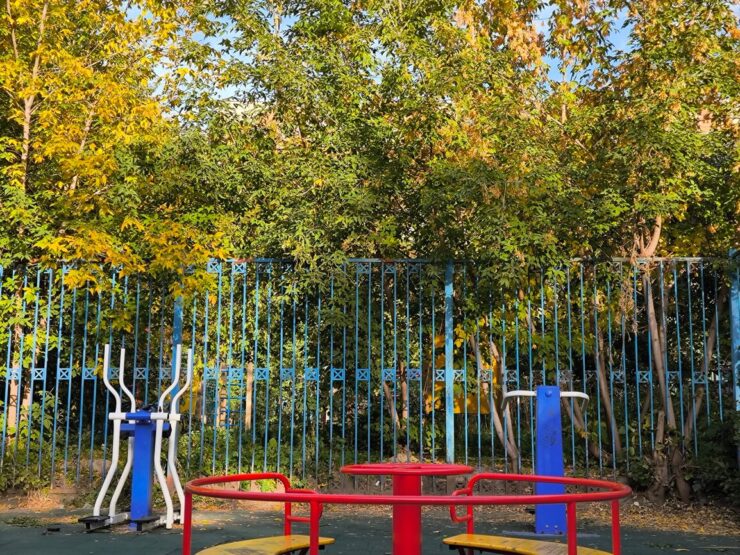 Как снимает Xiaomi 13T Pro. Снимок с двукратным зумом. Фото.