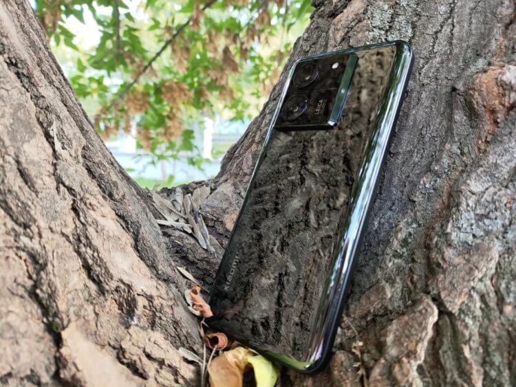 Дизайн Xiaomi 13T Pro. А вот так кажется, что аппарат серый, а не черный. Дизайн Xiaomi 13T Pro. А вот так кажется, что аппарат серый, а не черный. Фото.