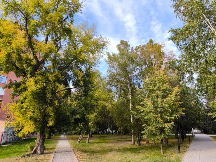 Как снимает Xiaomi 13T Pro. Фото сделано на основную камеру. Фото.