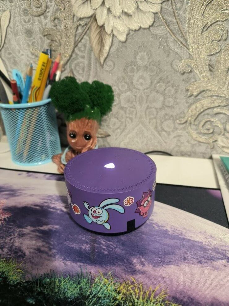 Умная колонка Яндекс Станция Лайт. Для детей можно заказать версию со Смешариками. Умная колонка Яндекс Станция Лайт. Для детей можно заказать версию со Смешариками. Фото.