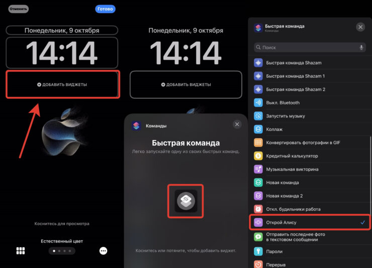 Виджеты на экране блокировки Айфона. Добавьте команду на экран блокировки. Сторонний софт для этого больше не требуется. Фото.