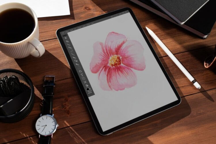 OZON рекомендует iPad: почему стоить его купить и как правильно выбрать