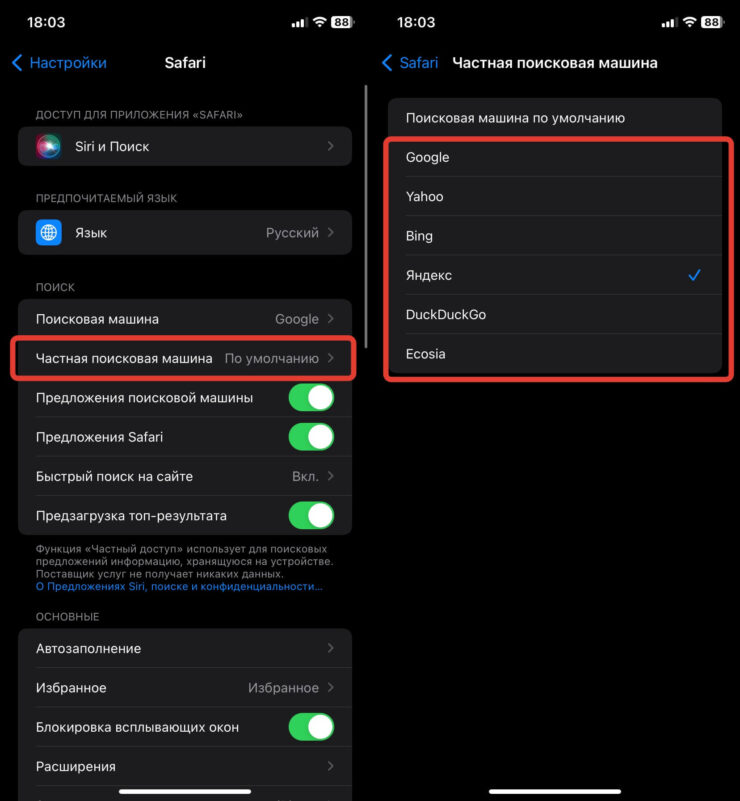 Поиск Яндекс на Айфоне. Теперь для частного доступа и обычных вкладок можно включить разную поисковую систему. Фото.