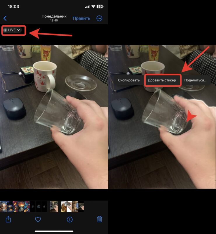 Как сделать анимированные стикеры. Стикеры из Live Photo будут анимированными. Фото.