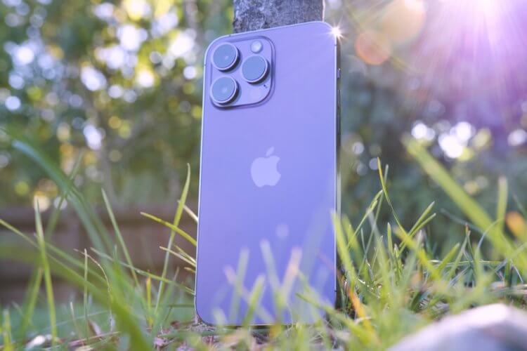 Какой Айфон купить в 2023. Если найдете iPhone 14 Pro Max в фиолетовом цвете, заказывайте его. Источник: digitaltrends.com. Какой Айфон купить в 2023. Если найдете iPhone 14 Pro Max в фиолетовом цвете, заказывайте его. Источник: digitaltrends.com. Фото.