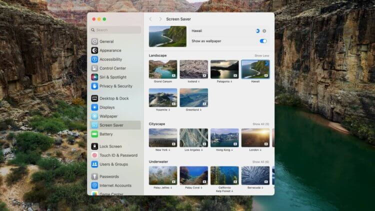 Заставки рабочего стола в macOS Sonoma. Заставок в системе очень много и все они крутые. Источник: idownloadblog.com. Заставки рабочего стола в macOS Sonoma. Заставок в системе очень много и все они крутые. Источник: idownloadblog.com. Фото.