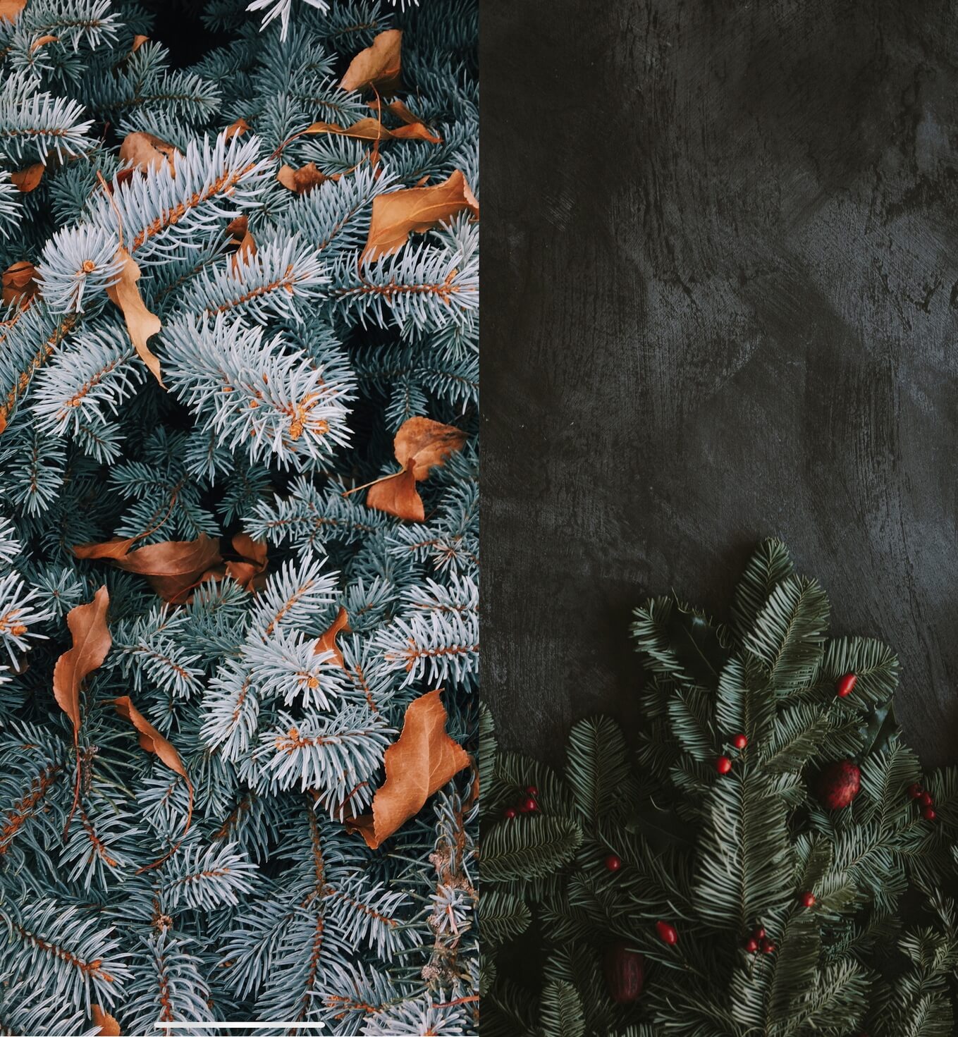 Красивые новогодние обои. Складывается ощущение, что фотографии передают даже запах ели. Фото.