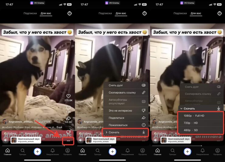 Скачать клип с ВК. Любой клип можно скачать на смартфон. Фото.