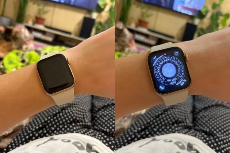 Какие Apple Watch лучше. Оптимальный выбор по соотношению цена-качество-возможности. Какие Apple Watch лучше. Оптимальный выбор по соотношению цена-качество-возможности. Фото.