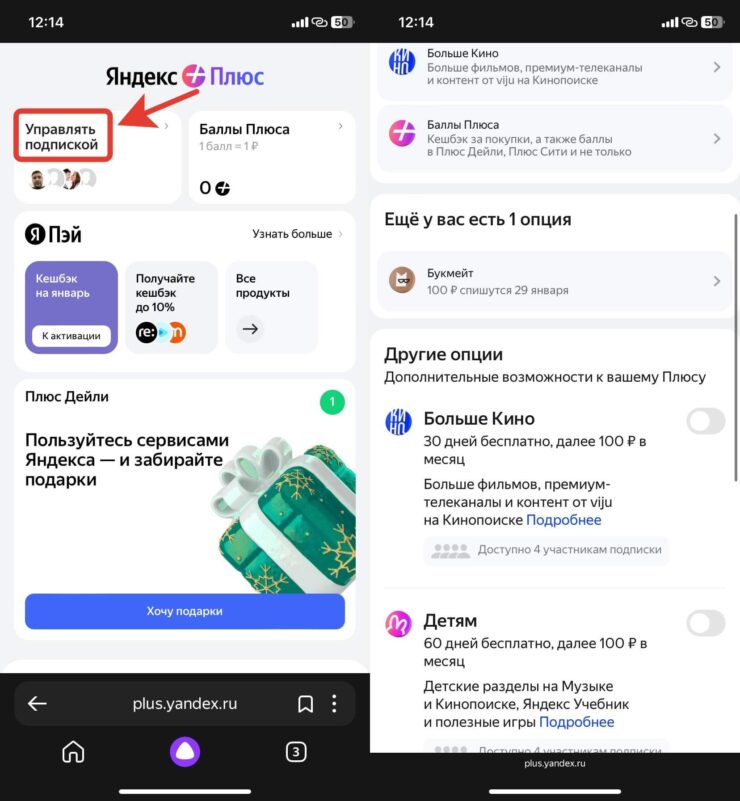 Подписка Яндекс Плюс Букмейт. Можно включить Букмейт с ежемесячной оплатой. Фото.